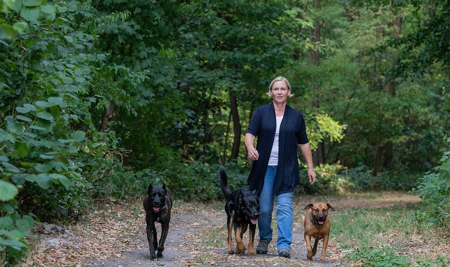Hundetrainer